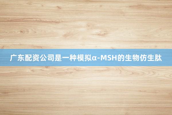 广东配资公司是一种模拟α-MSH的生物仿生肽