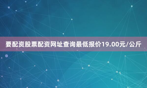 要配资股票配资网址查询最低报价19.00元/公斤