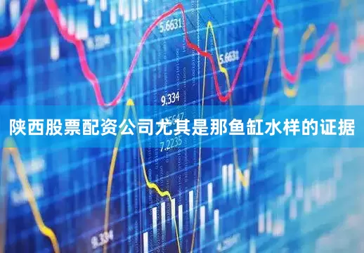 陕西股票配资公司尤其是那鱼缸水样的证据