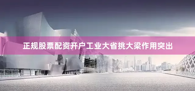 正规股票配资开户工业大省挑大梁作用突出
