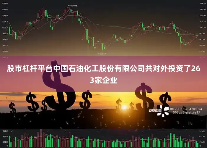 股市杠杆平台中国石油化工股份有限公司共对外投资了263家企业
