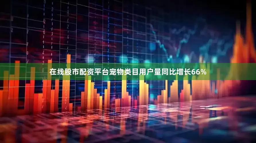 在线股市配资平台宠物类目用户量同比增长66%