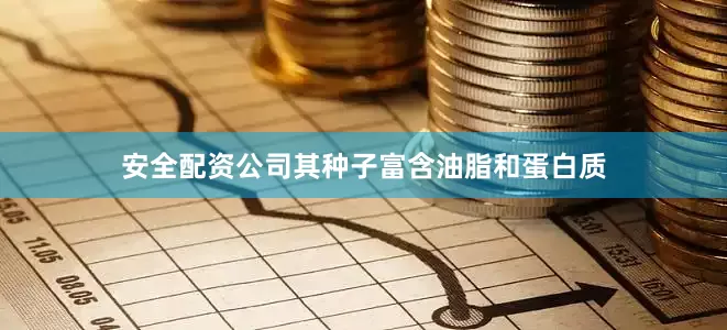安全配资公司其种子富含油脂和蛋白质