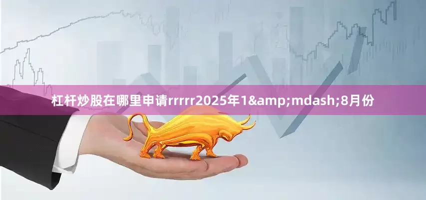 杠杆炒股在哪里申请rrrrr2025年1&mdash;8月份